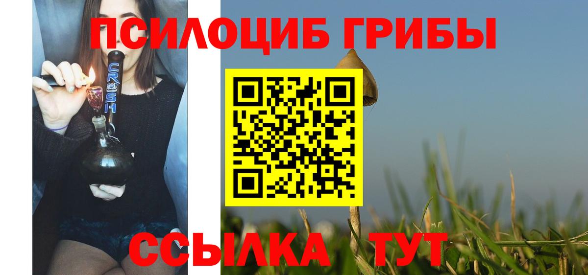 Чехов  Псилоцибиновые грибы Cubensis  Вход с VPN 